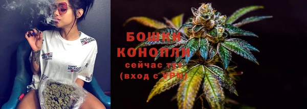 крисы Кулебаки