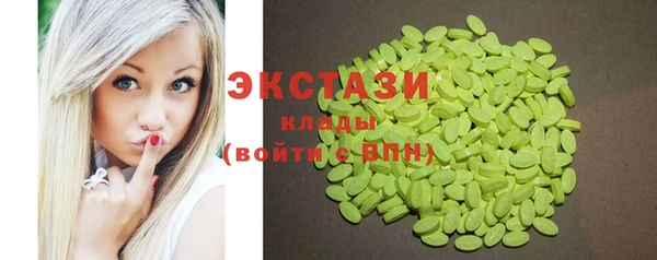 крисы Кулебаки
