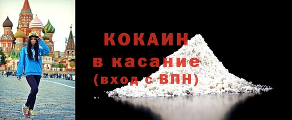 крисы Кулебаки