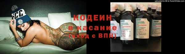 крисы Кулебаки