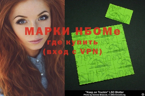 крисы Кулебаки