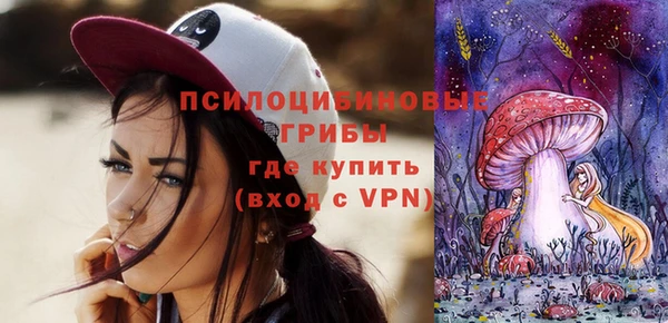 крисы Кулебаки