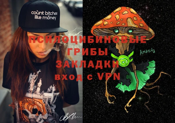 Альфа ПВП Кукмор