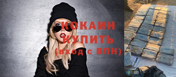 крисы Кулебаки