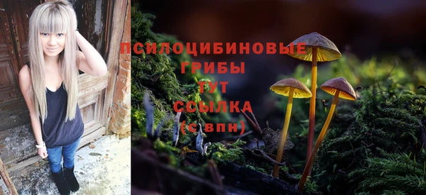 винт Куйбышев
