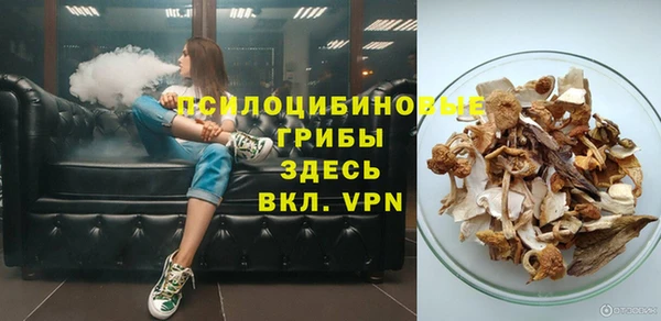 Альфа ПВП Кукмор