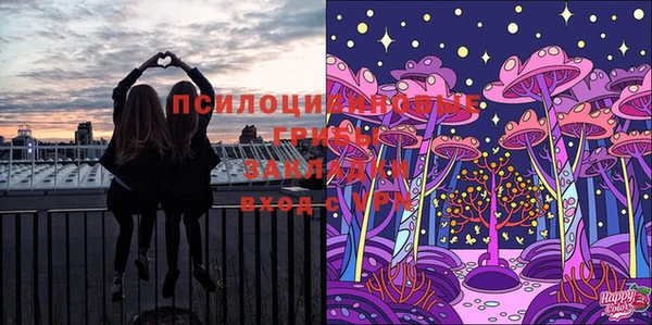 Альфа ПВП Кукмор