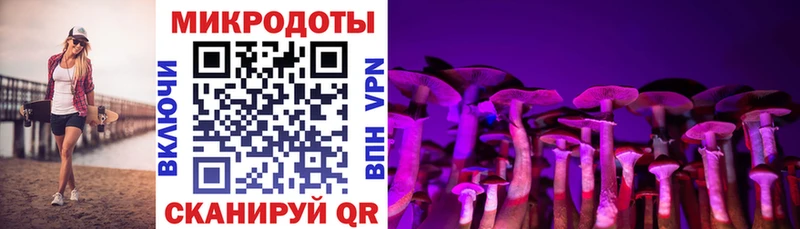 Псилоцибиновые грибы Magic Shrooms  Купить где  Островной 